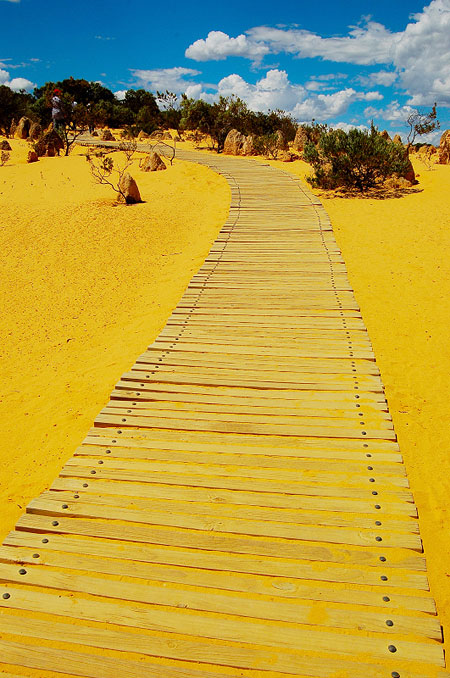 More like a path, actually. At the Pinnacles.